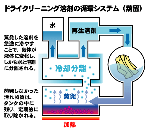 循環システム（循環）