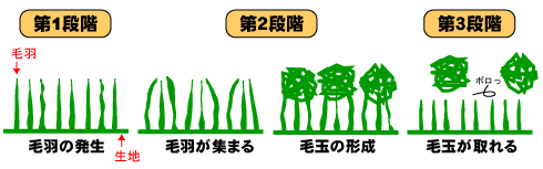 毛玉ができるメカニズム