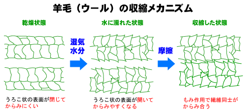 ウールの縮み